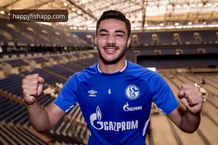 德甲转会市场深度解析教程：乐鱼体育平台带你洞悉夏季窗口操作策略